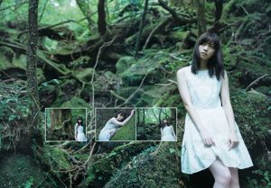 Nanase Nishino "Hoofdstuk aan de voet" [Weekly Young Jump] 2015 No.50 Photo Magazine