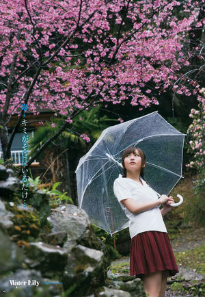 [Young Gangan] Mina Oba You Kikkawa Hitomi Yasueda 2015 No.10 Fotografía
