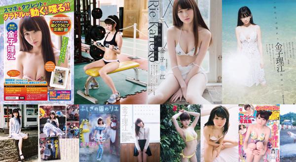 Rie Kaneko Total 5 Photo Albums