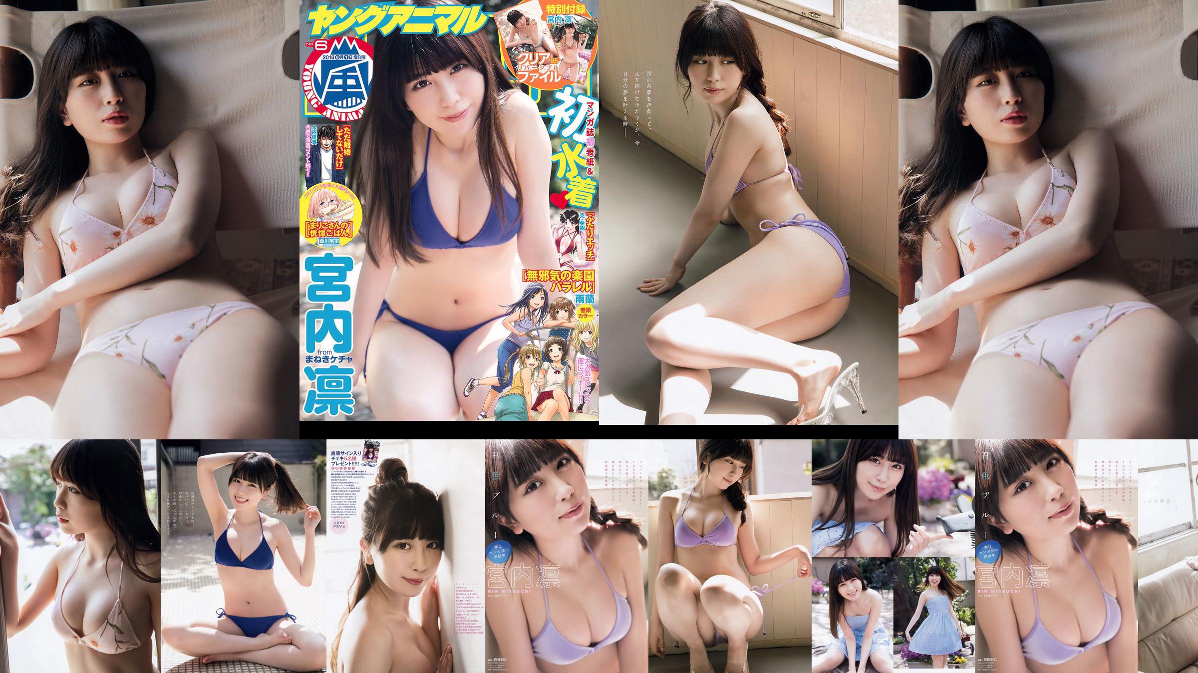 Rin Miyauchi [Young Animal Arashi] Arashi Special Issue 2018 No.06 Photo Magazine No.4c9e4b Page 1