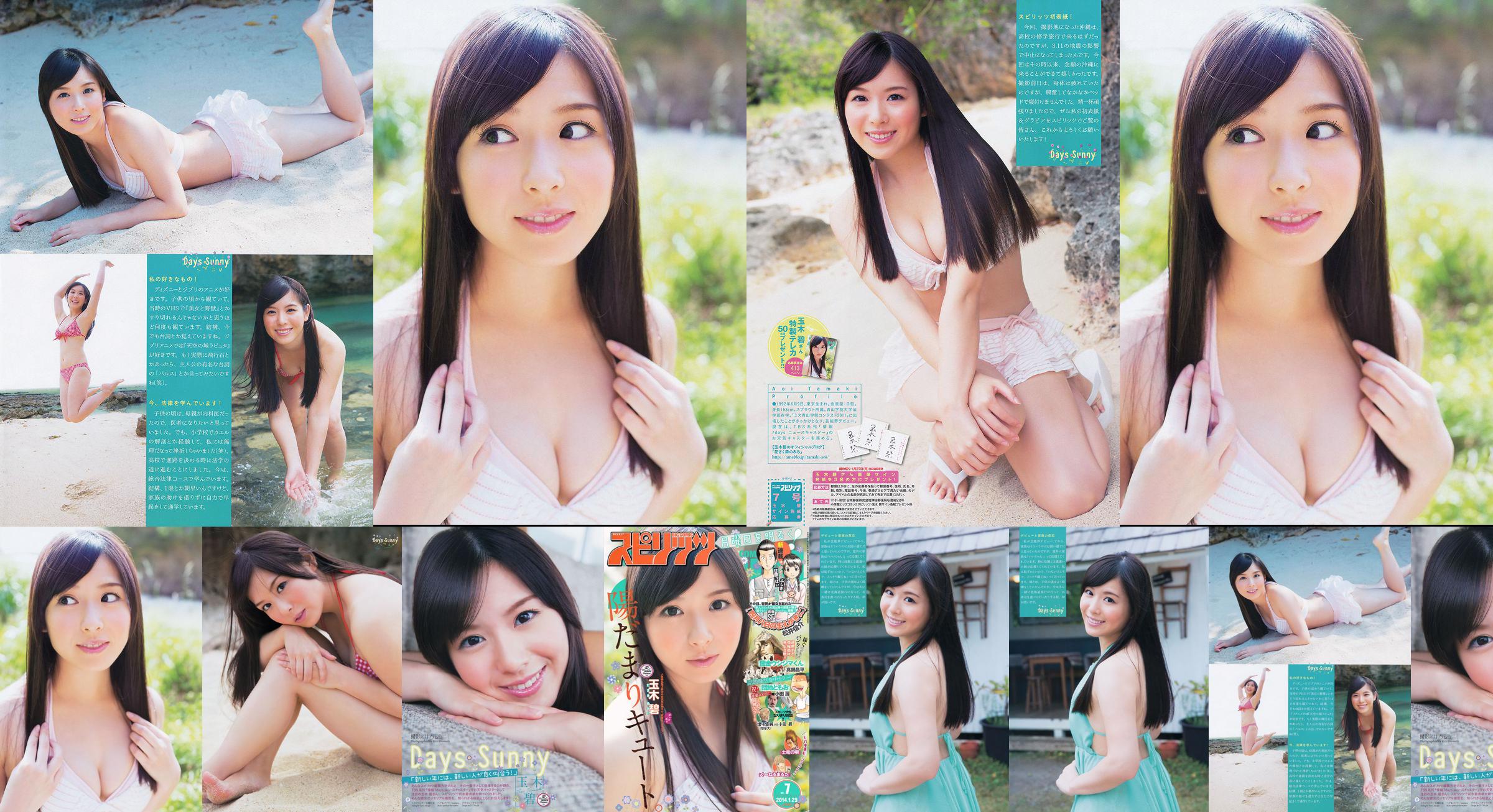 [Weekly Big Comic Spirits] Tamakibi 2014 No.07 Photo Magazine No.4c2958 Page 1